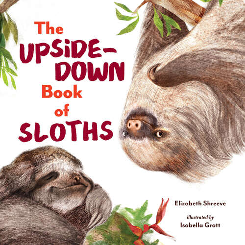 Book cover of The Upside-Down Book of Sloths
