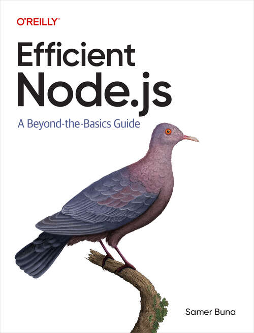 Book cover of Efficient Node.js: A Beyond-the-Basics Guide (1)