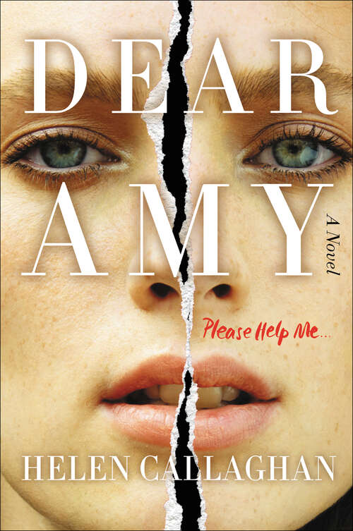 Book cover of Dear Amy: A Novel