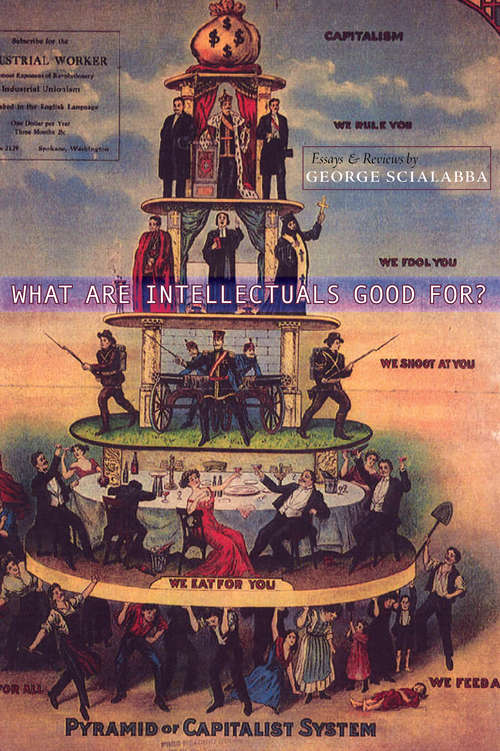 Book cover of What Are Intellectuals Good For?: Essays & Reviews