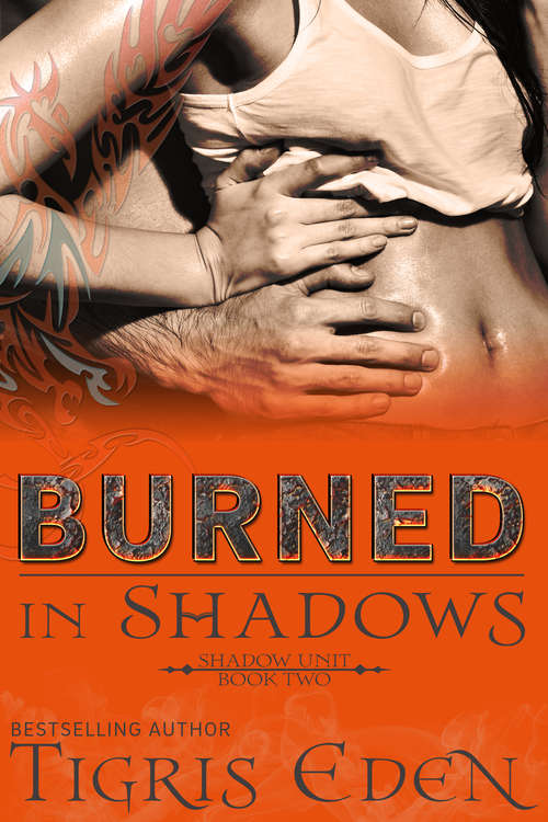 Book cover of Burned In Shadows