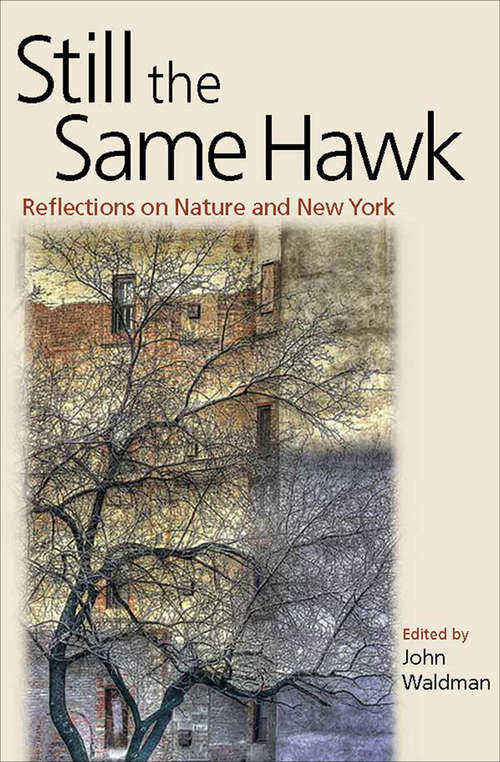 Book cover of Still the Same Hawk: Reflections on Nature and New York