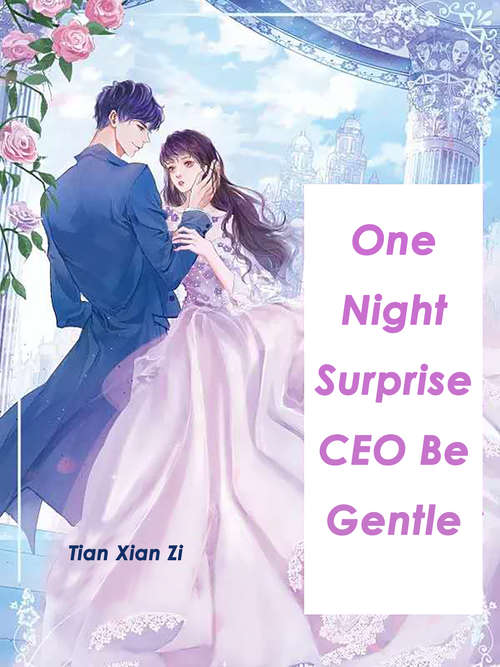 Book cover of One Night Surprise: Volume 1 (Volume 1 #1)