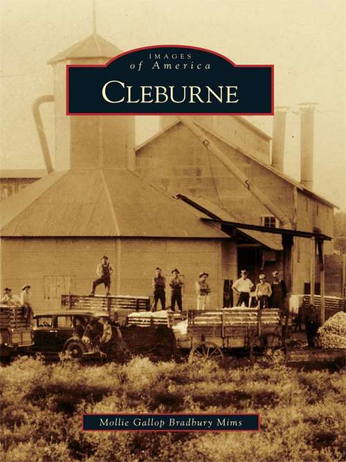 Book cover of Cleburne