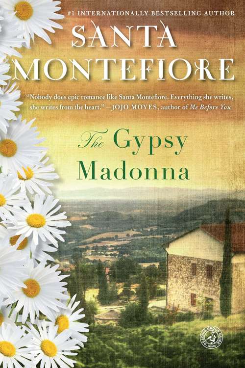 Book cover of The Gypsy Madonna