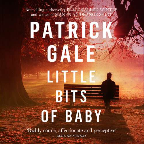 Book cover of Little Bits of Baby