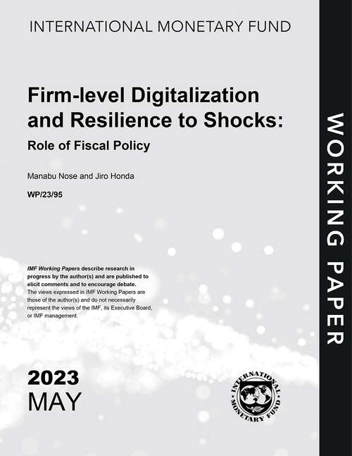 Book cover of Firm-level Digitalization and Resilience to Shocks: Role of Fiscal Policy