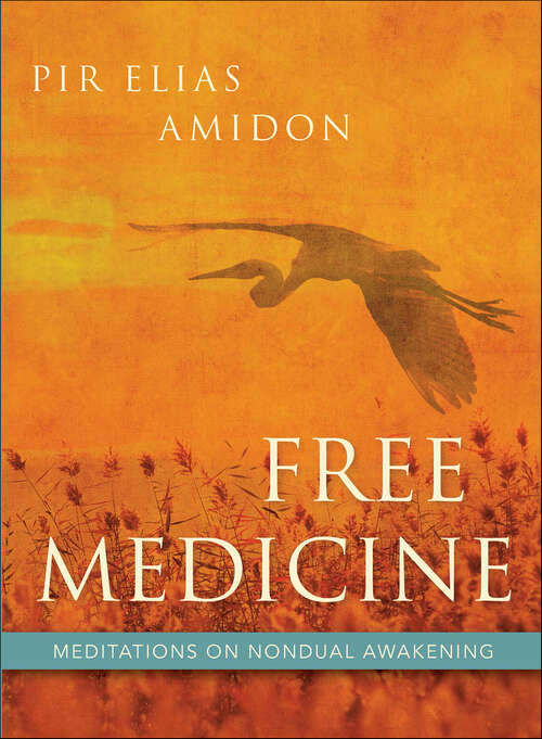 Book cover of Free Medicine: Meditations on Nondual Awakening