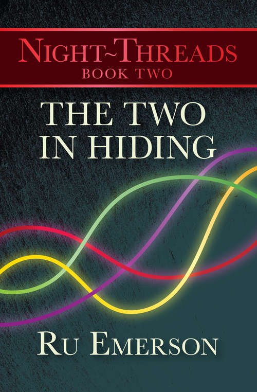 Book cover of The Two in Hiding