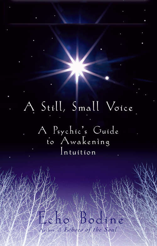 Book cover of A Still, Small Voice