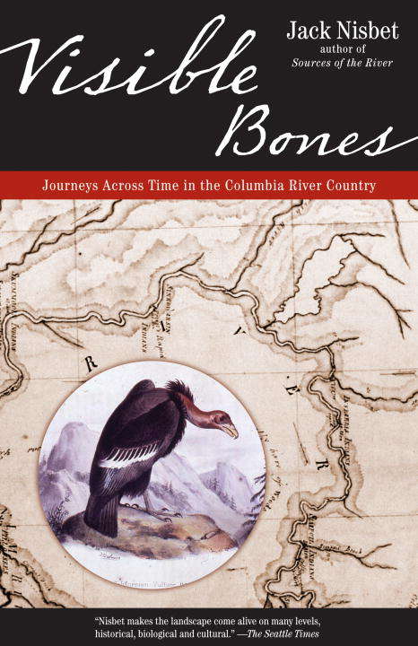 Book cover of Visible Bones