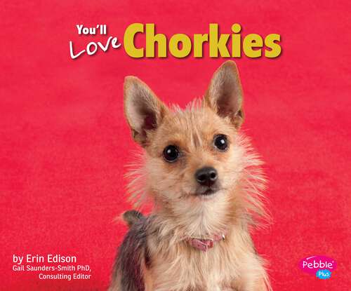 Book cover of You’ll Love Chorkies (Favorite Designer Dogs Ser.)