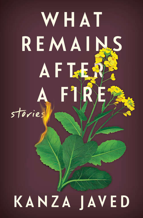 Book cover of What Remains After a Fire: Stories