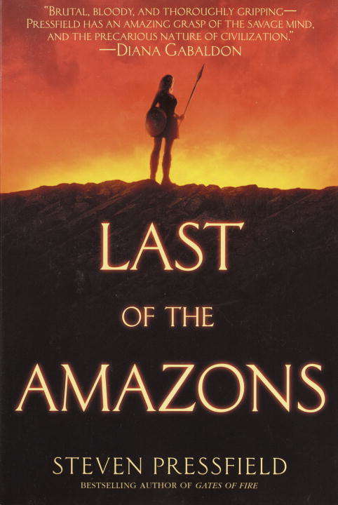 Book cover of Last of the Amazons