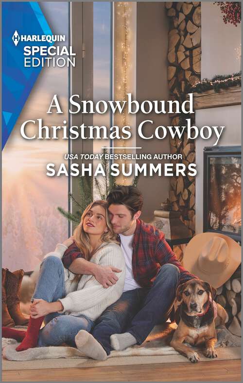 A Snowbound Christmas Cowboy (Texas Cowboys & K-9s #5)