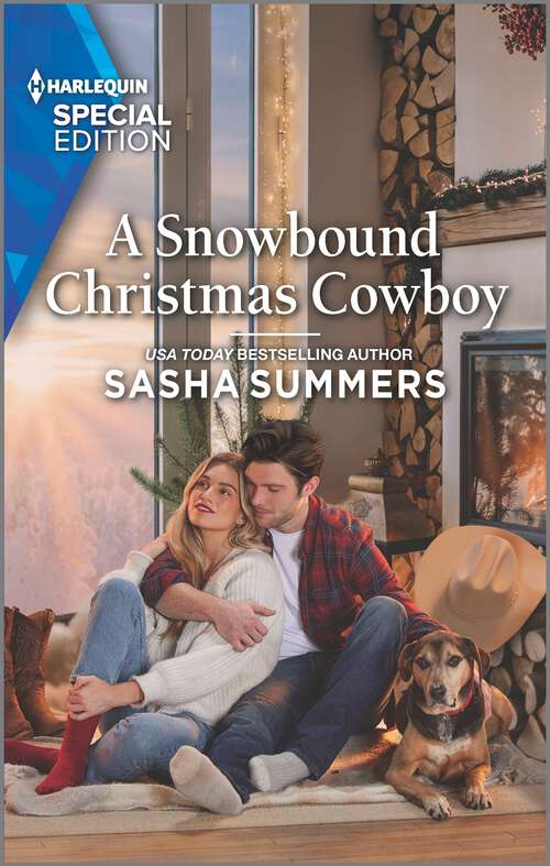 Book cover of A Snowbound Christmas Cowboy (Original) (Texas Cowboys & K-9s #5)