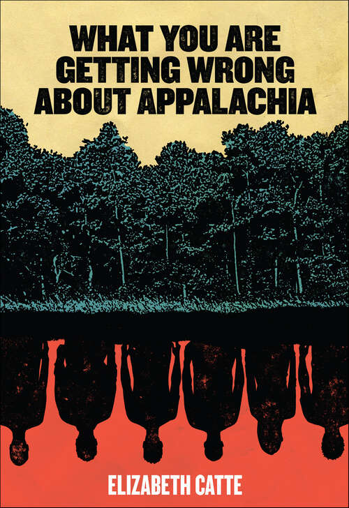 Book cover of What You Are Getting Wrong About Appalachia