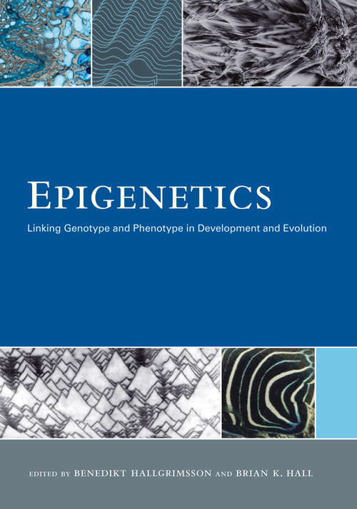 Epigenetics: Linking Genotype and Phenotype in Development and Evolution