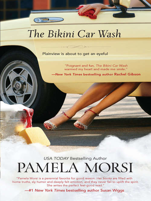 Book cover of The Bikini Car Wash