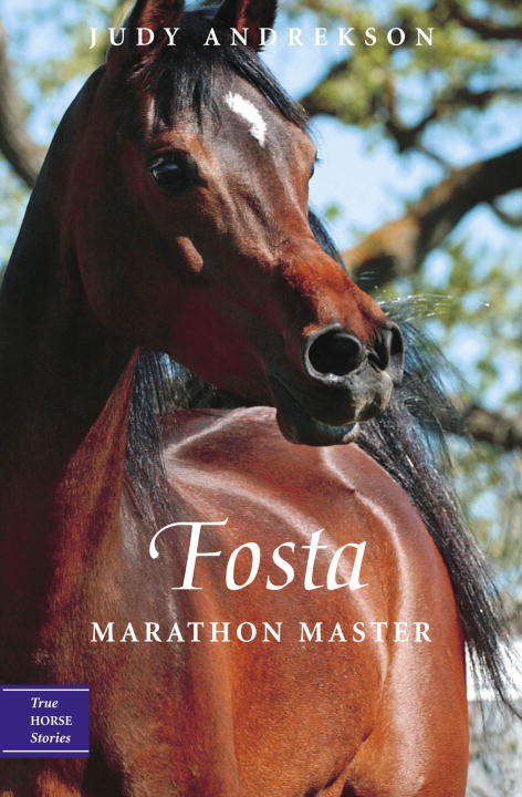 Fosta: Marathon Master (True Horse Stories)