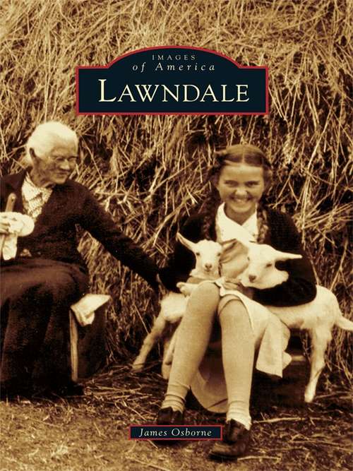 Book cover of Lawndale
