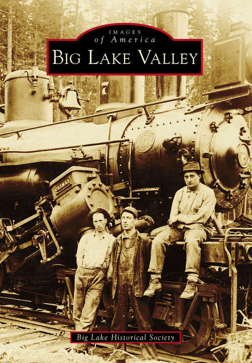 Book cover of Big Lake Valley