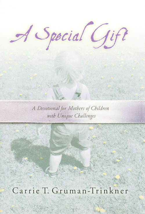 Book cover of A Special Gift