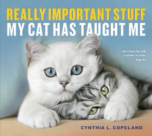 Book cover of Really Important Stuff My Cat Has Taught Me