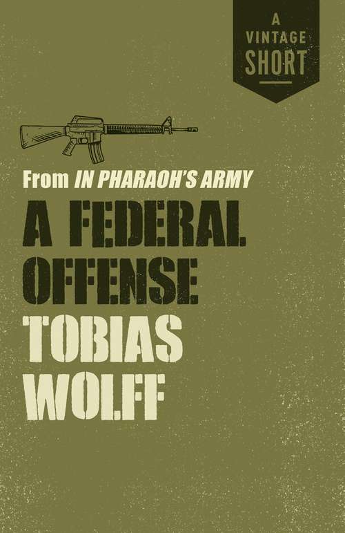 Book cover of A Federal Offense: from In Pharaoh's Army