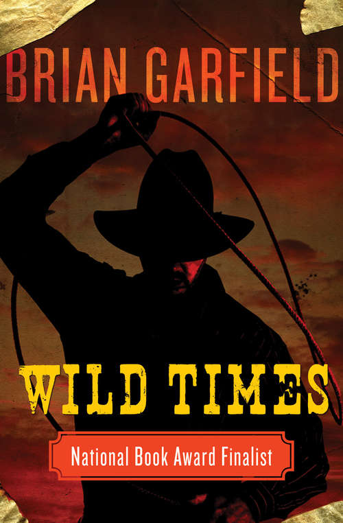 Book cover of Wild Times
