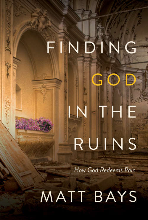 Book cover of Finding God in the Ruins