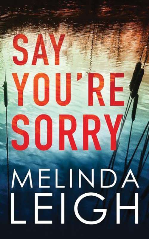 Book cover of Say You're Sorry (Morgan Dane #1)