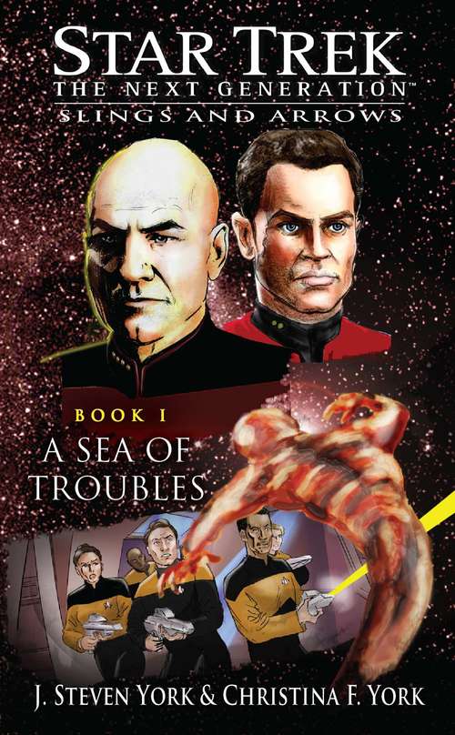 Book cover of Star Trek: The Next Generation: A Sea of Troubles