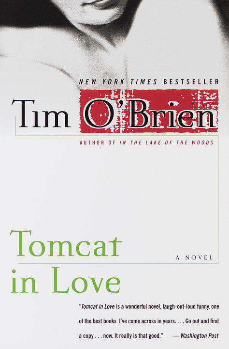 Book cover of Tomcat in Love