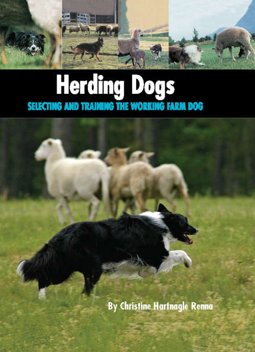 Book cover of Herding Dogs