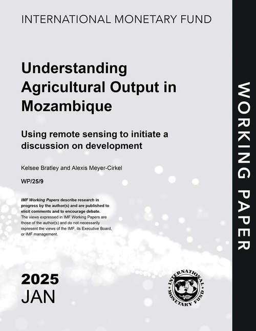 Book cover of Understanding Agricultural Output in Mozambique: Using remote sensing to initiate a discussion on development