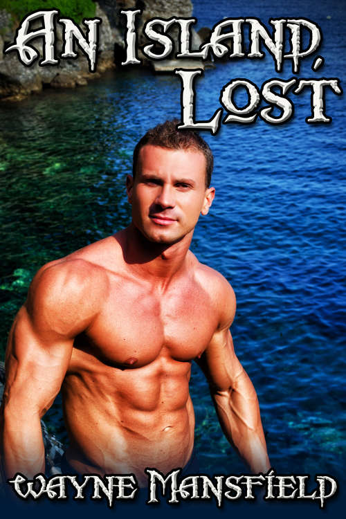 Book cover of An Island, Lost