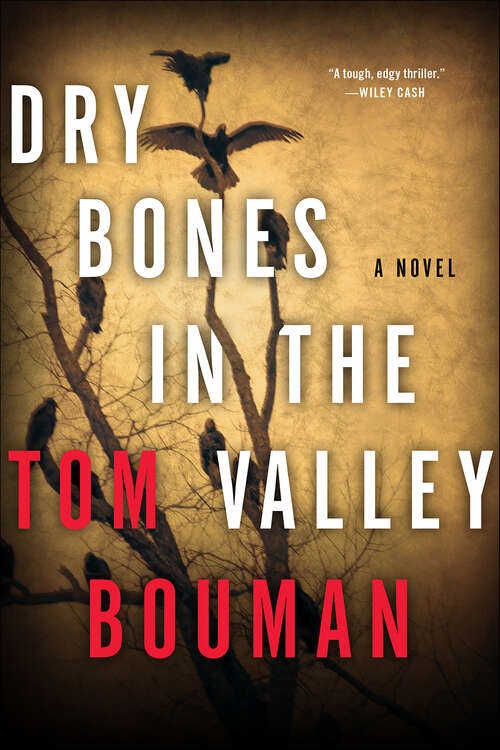 Book cover of Dry Bones in the Valley: A Novel (The Henry Farrell Series)