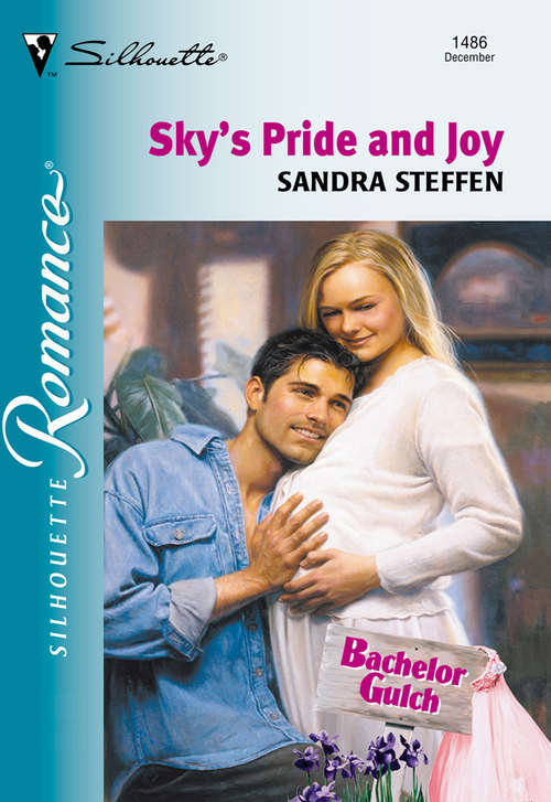 Book cover of Sky's Pride and Joy