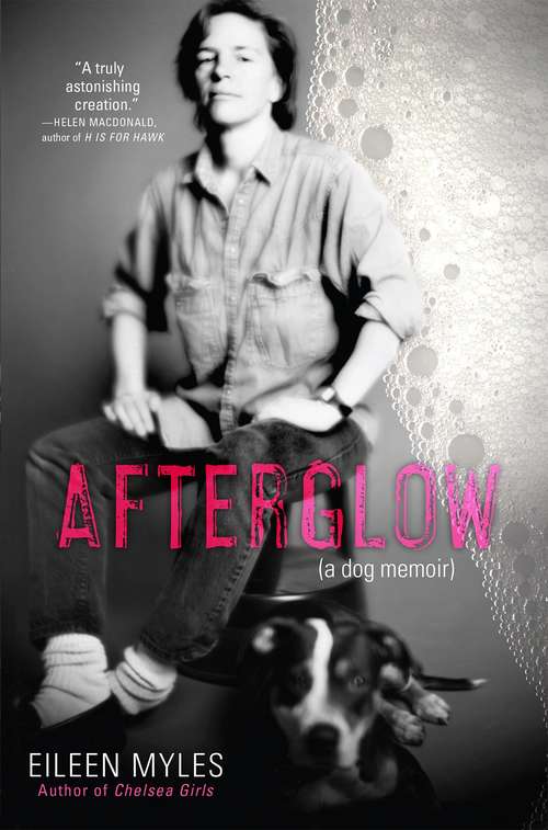 Book cover of Afterglow: A Dog Memoir