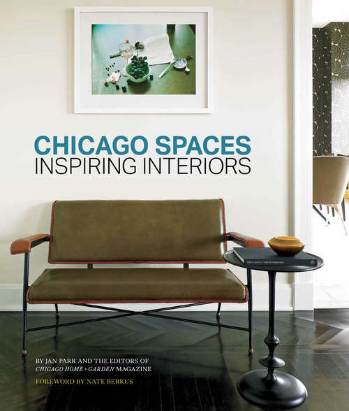 Book cover of Chicago Spaces
