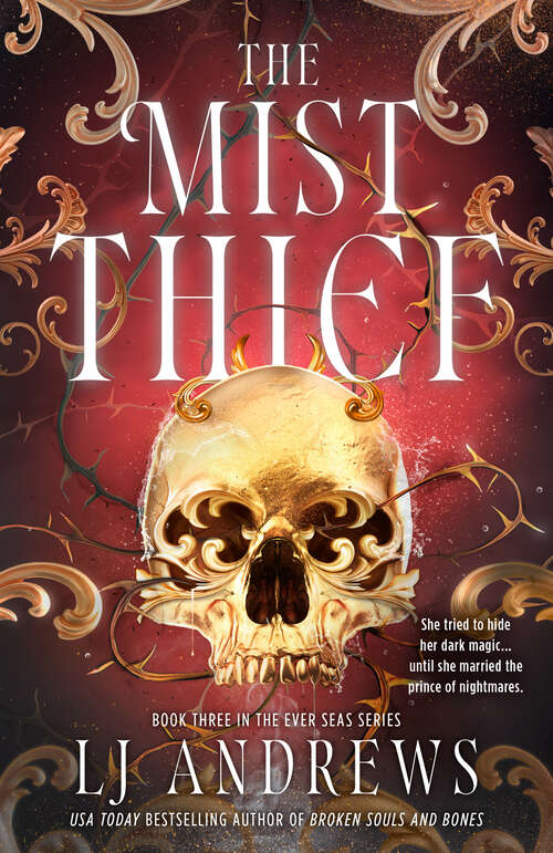 Book cover of The Mist Thief (The Ever Seas)