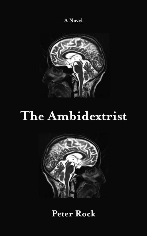 Book cover of The Ambidextrist: A Novel