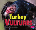 Turkey Vultures (Birds Of Prey Ser.)