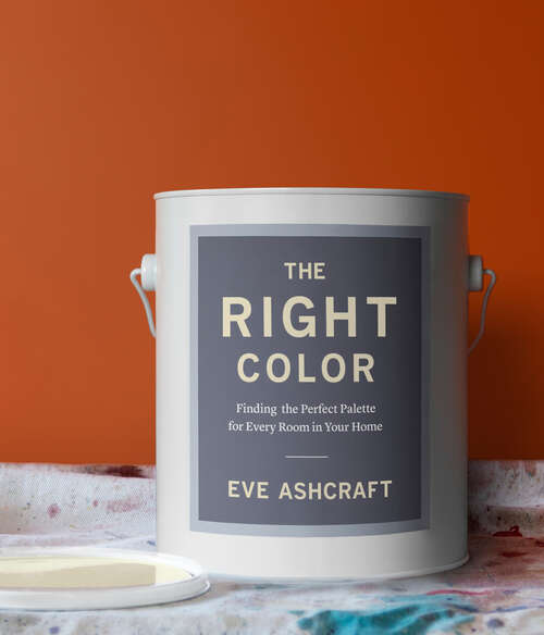 Book cover of The Right Color