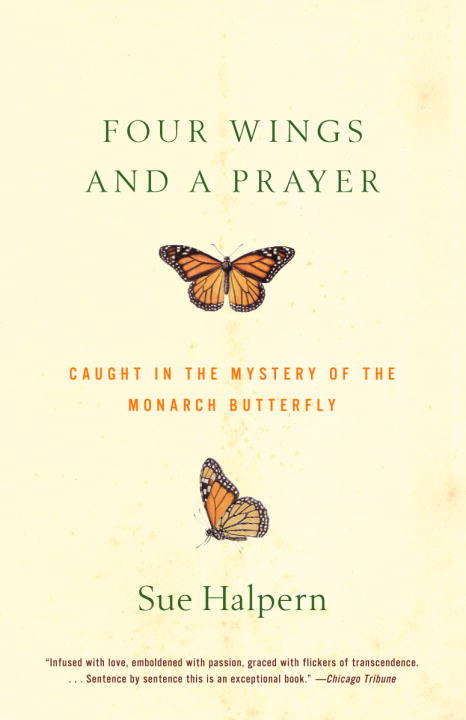 Book cover of Four Wings and a Prayer