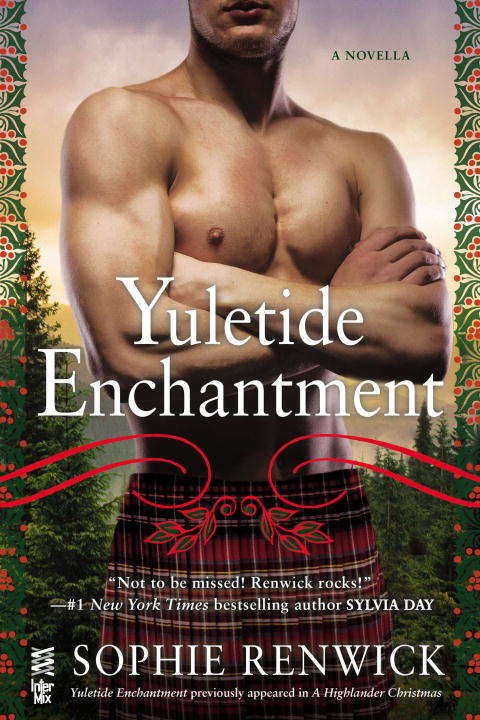 Book cover of Yuletide Enchantment