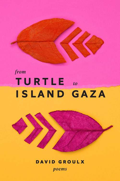 Book cover of From Turtle Island to Gaza (Mingling Voices)