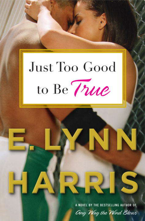Book cover of Just Too Good to Be True