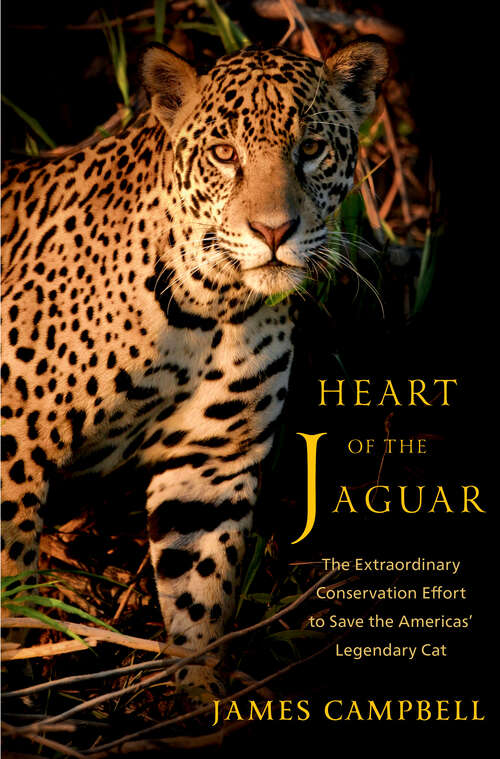 Book cover of Heart of the Jaguar: The Extraordinary Conservation Effort to Save the Americas' Legendary Cat